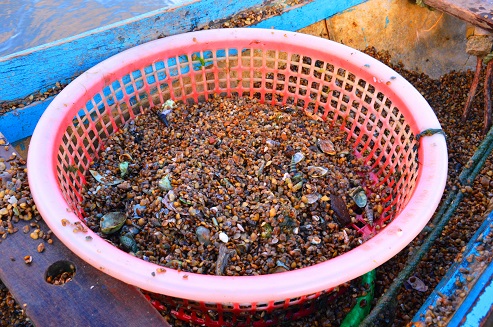 Nghề độc &ldquo;vợ chồng c&ugrave;ng ng&acirc;m m&igrave;nh lấy ng&agrave;y nửa triệu - Ảnh 4.