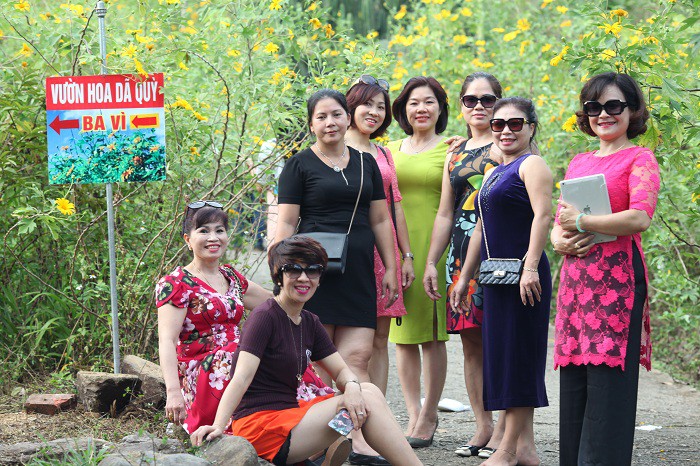 Đẹp nao l&ograve;ng rừng hoa d&atilde; quỳ dưới ch&acirc;n n&uacute;i Tản - Ảnh 14.