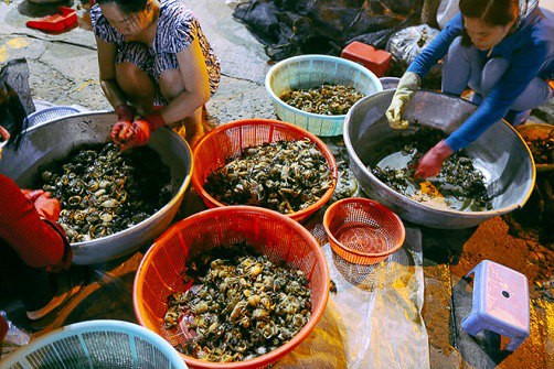 Chợ “độc” ở Sài Gòn, gần nửa thế kỷ chỉ bán một mặt hàng lúc nửa đêm - Ảnh 13.