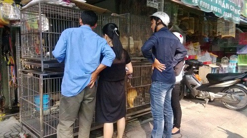 Những khu chợ chỉ b&aacute;n một mặt h&agrave;ng ở Việt Nam - Ảnh 13.