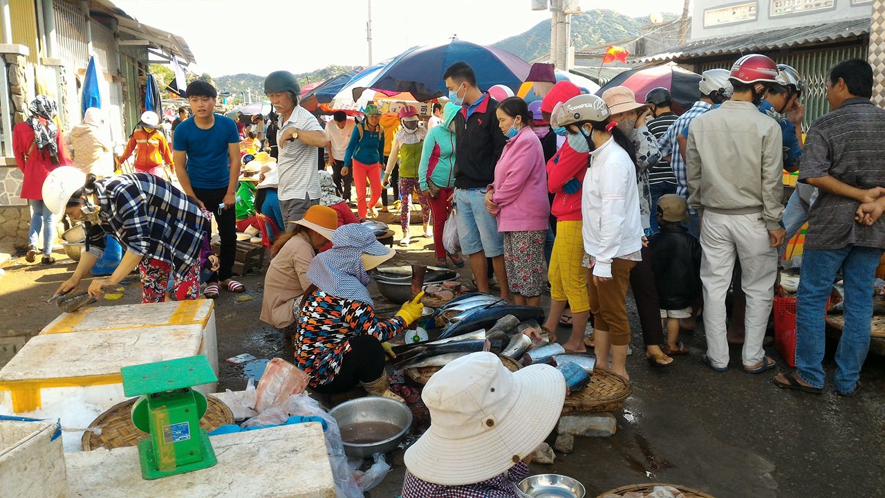 Nhộn nhịp chợ cá đầu năm