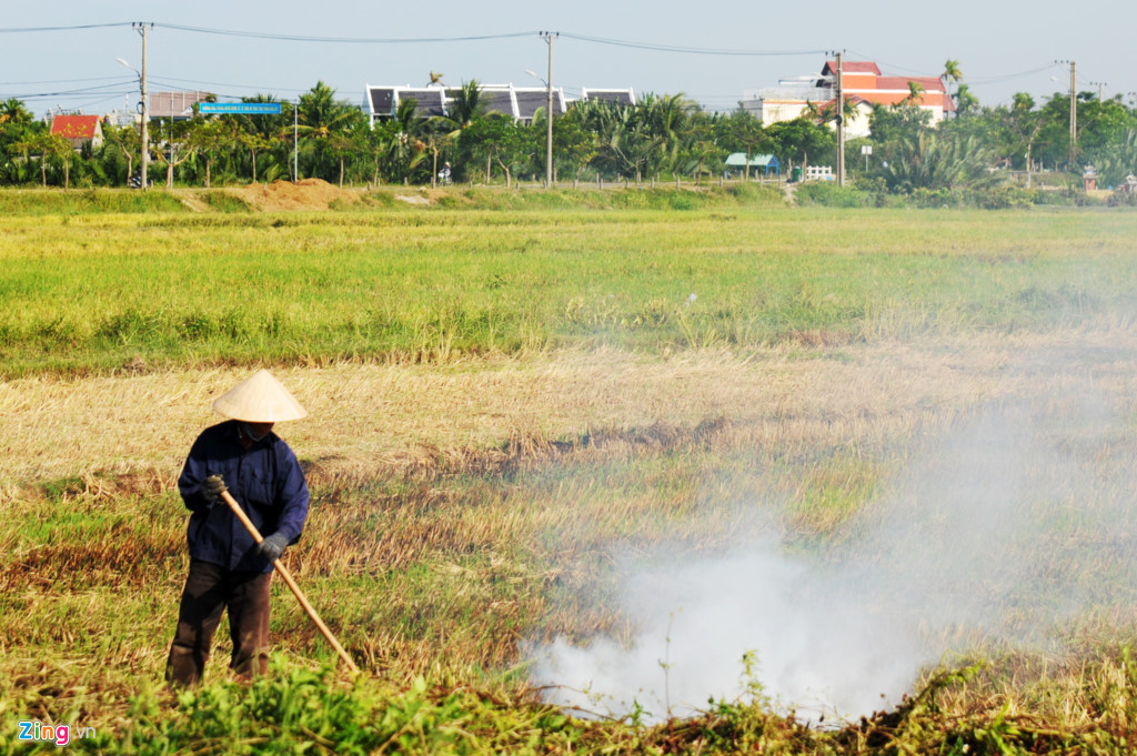 L&agrave;ng biệt thự giữa miền qu&ecirc; Hội An - Ảnh 14.