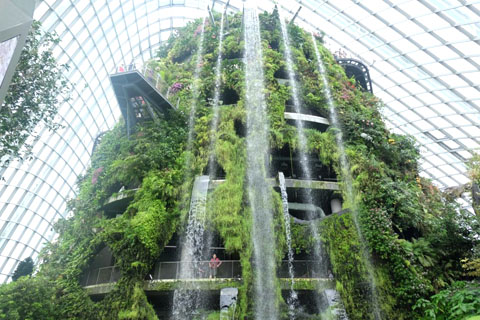 Gardens by the Bay - Thế giới diệu kỳ ở Singapore - Ảnh 14.