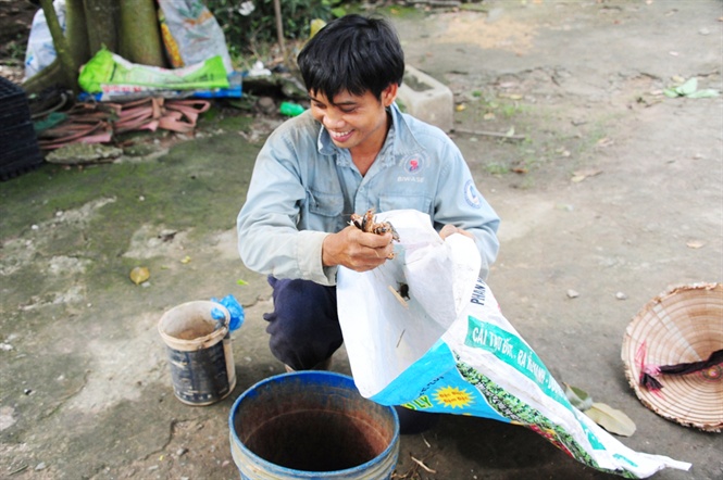 Săn dế cơm, kiếm 300 ng&agrave;n đồng/ng&agrave;y như chơi - Ảnh 14.