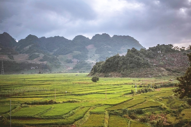 Đẹp mê hồn một Đà Lạt ở Tây Bắc - Ảnh 14.