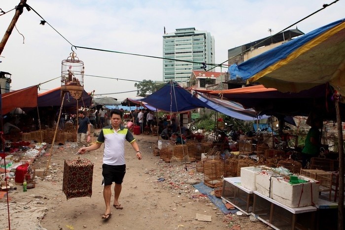 Những khu chợ chỉ b&aacute;n một mặt h&agrave;ng ở Việt Nam - Ảnh 14.