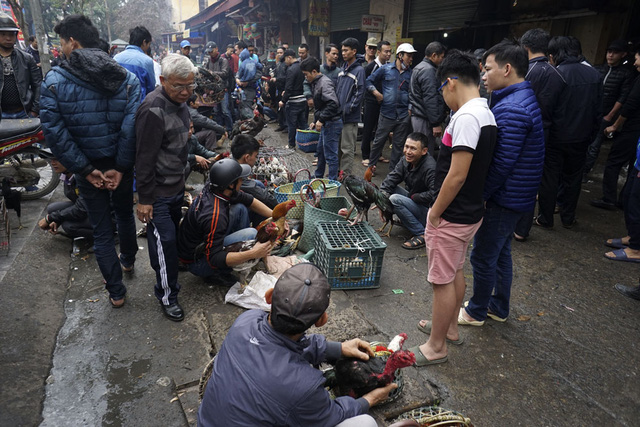 Chợ g&agrave; chọi l&agrave; một mảng bu&ocirc;n b&aacute;n trong phi&ecirc;n chợ cổ H&agrave; Đ&ocirc;ng, họp v&agrave;o c&aacute;c ng&agrave;y 5, 10, 15, 20, 25, 30 &Acirc;m lịch h&agrave;ng th&aacute;ng. Chợ b&aacute;n chủ yếu c&aacute;c loại gia s&uacute;c gia cầm, c&acirc;y cảnh, trong đ&oacute; khu b&aacute;n g&agrave; chọi đ&ocirc;ng nhất.