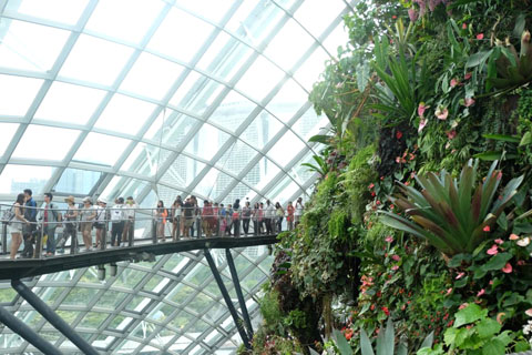 Gardens by the Bay - Thế giới diệu kỳ ở Singapore - Ảnh 15.