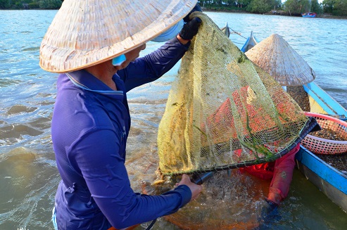 Nghề độc &ldquo;vợ chồng c&ugrave;ng ng&acirc;m m&igrave;nh lấy ng&agrave;y nửa triệu - Ảnh 5.