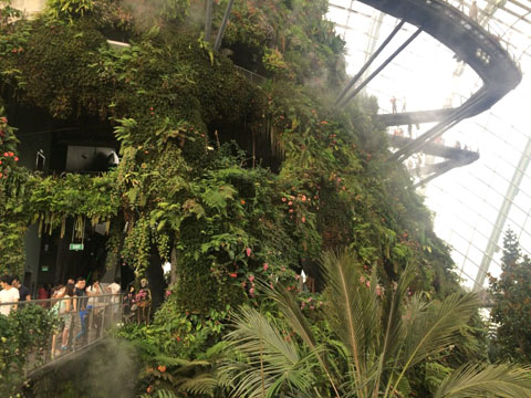 Gardens by the Bay - Thế giới diệu kỳ ở Singapore - Ảnh 16.