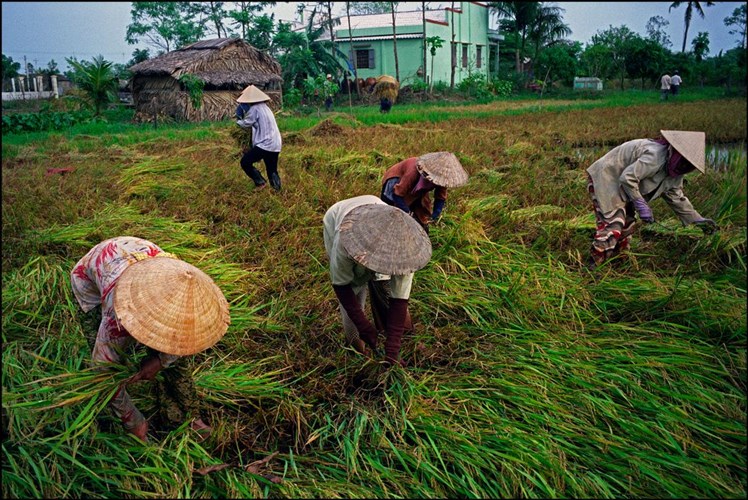 Ảnh để đời về miền Tây năm 2007 - Ảnh 17.