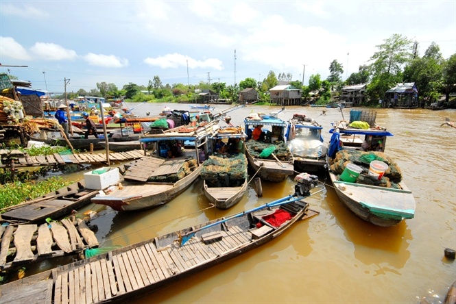 Cận cảnh săn, bắt, h&aacute;i, lượm  m&ugrave;a nước nổi - Ảnh 17.