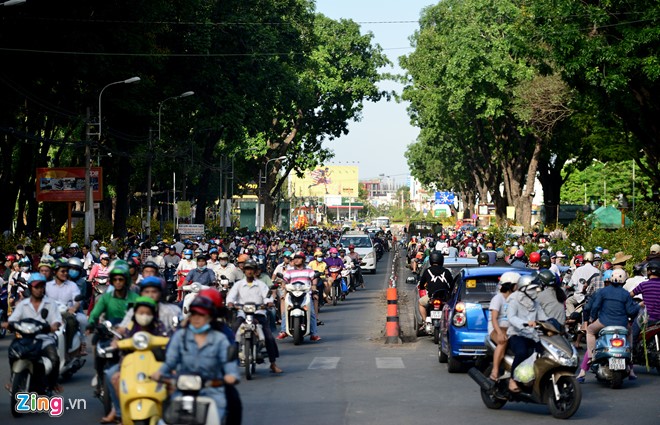 Tại TP.HCM: Một số tuyến đường bán hoa, cây cảnh như Hoàng Minh Giám (quận Phú Nhuận), Hoàng Văn Thụ, Trường Chinh (quận Tân Bình) tấp nập người mua và xe cộ qua lại