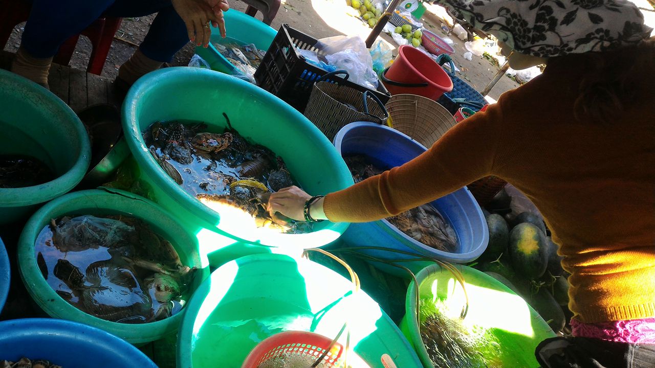 Khách hàng đang lựa chọn mua hải sản