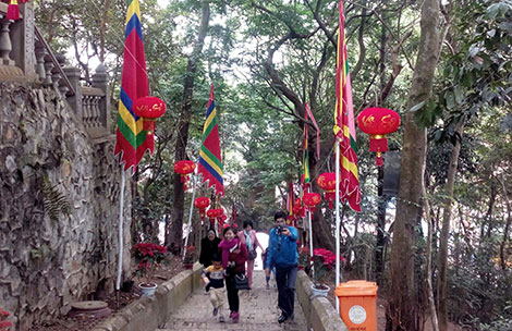 Một g&oacute;c rừng lim cổ thụ bao quanh đền Cao.