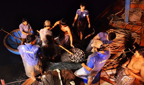 Bí kíp dụ cá có "1 không 2" của 1 ngư dân Quảng Ngãi