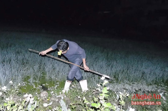 Về Nghệ An nín thở đi săn "chân dài" trong đêm