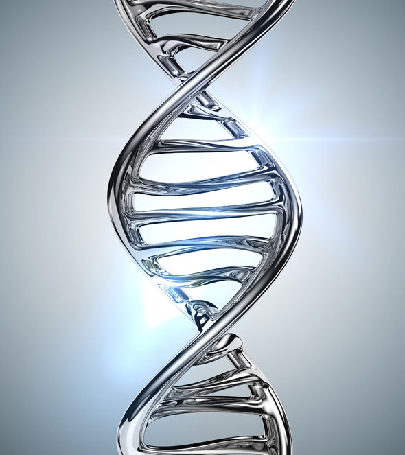 DNA của lo&agrave;i người ẩn chứa t&iacute;n hiệu đặc biệt. Ảnh: Express