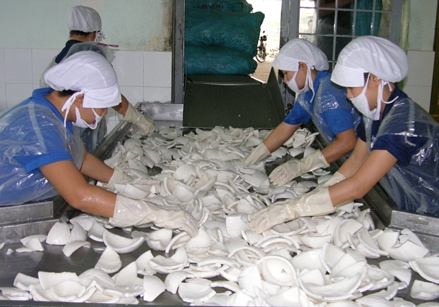 Thi&ecirc;́u nguy&ecirc;n li&ecirc;̣u m&ocirc;̣t s&ocirc;́ doanh nghi&ecirc;̣p ch&ecirc;́ bi&ecirc;́n cũng gặp khó khăn