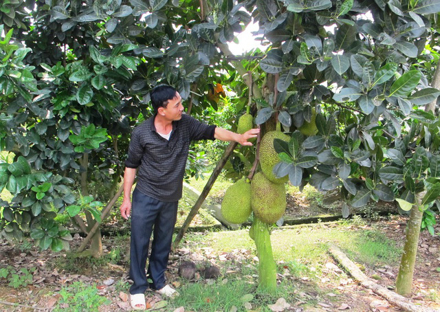 Sơn "khùng" làm trang trại thu tiền tỉ