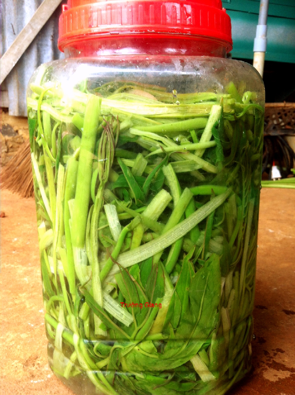 Rau m&oacute;p muối chua