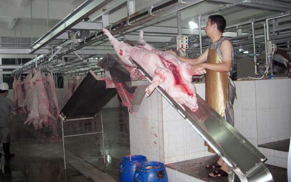 Trung Quốc cũng muốn "giải cứu" heo Việt?