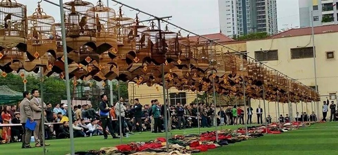 Thi t&agrave;i t&igrave;m vương điểu
