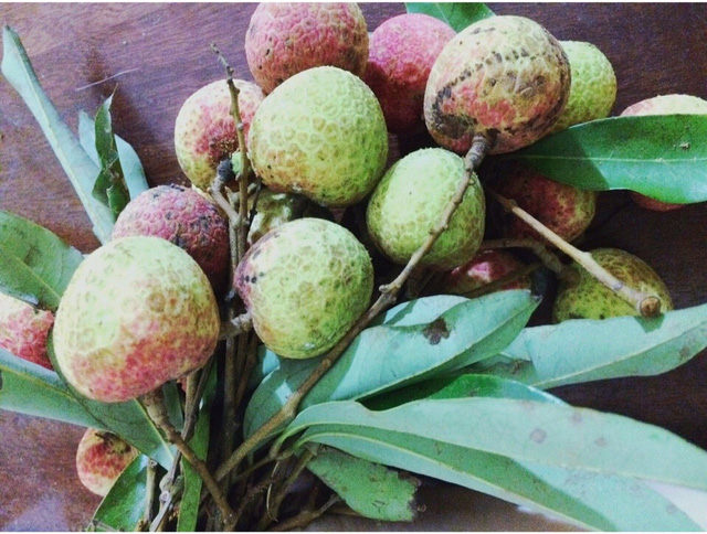 Vải đầu m&ugrave;a gần 100.000 đồng/kg, đắt gấp 7 lần gi&aacute; gốc - Ảnh 3.