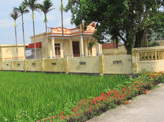 Ngỡ ngàng những con đường hoa rực rỡ làng quê miền Bắc - Ảnh 30.