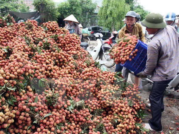 Quả xo&agrave;i 1,7 triệu, vải thiều 400.000 đồng/12 quả: X&oacute;t l&ograve;ng d&acirc;n Việt - Ảnh 3.