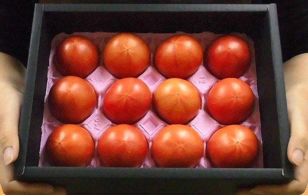 Cà chua Hoàng gia Nhật 1,6 triệu đồng/kg - Ảnh 3.