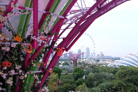 Gardens by the Bay - Thế giới diệu kỳ ở Singapore - Ảnh 3.