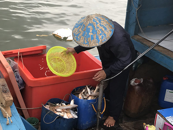 Dợn lòng nước mắt phu biển