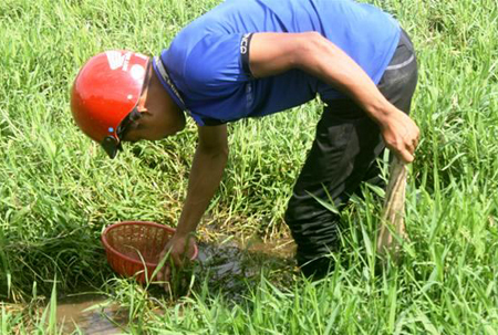 Thương l&aacute;i Trung Quốc mua đỉa gi&aacute; tới 600.000 đồng/kg để l&agrave;m g&igrave;? - Ảnh 3.