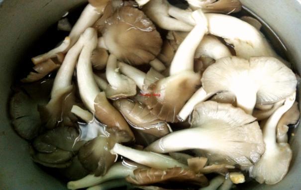 Canh cà nấu nấm: Ấm lòng ngày mưa - Ảnh 4.