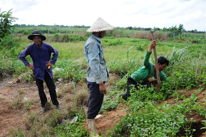 Săn dế cơm, kiếm 300 ng&agrave;n đồng/ng&agrave;y như chơi - Ảnh 3.