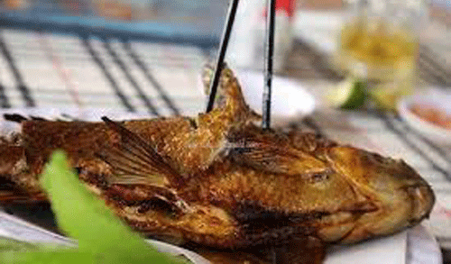 Mùa nước nổi nhớ con cá éc - Ảnh 1.