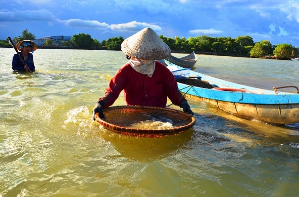 Nghề độc “vợ chồng cùng ngâm mình" lấy ngày nửa triệu
