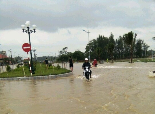 Bão số 10: Cuồng phong quét qua, nhà tốc mái, cây đổ la liệt - Ảnh 15.