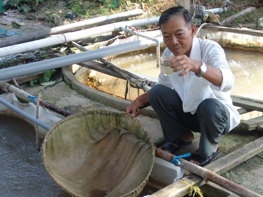 Tr&agrave;n ngập c&aacute; linh giả ăn theo con nước nổi - Ảnh 1.