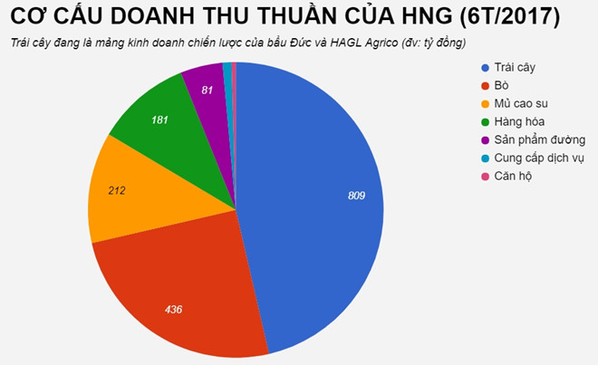 5 cá nhân chi hàng trăm tỷ đồng mua cổ phiếu công ty bầu Đức - Ảnh 3.