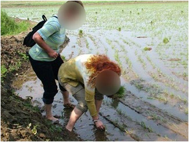 7 tour du lịch kỳ quặc nhất quả đất - Ảnh 3.