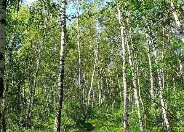 Kh&aacute;ch sạn hầm mộ độc v&agrave; dị đang g&acirc;y sốt tr&ecirc;n thế giới - Ảnh 1.