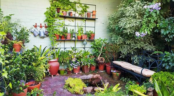 Chốn b&igrave;nh y&ecirc;n b&ecirc;n vườn hoa đẹp như thi&ecirc;n đường của b&agrave; l&atilde;o 83 tuổi  - Ảnh 3.