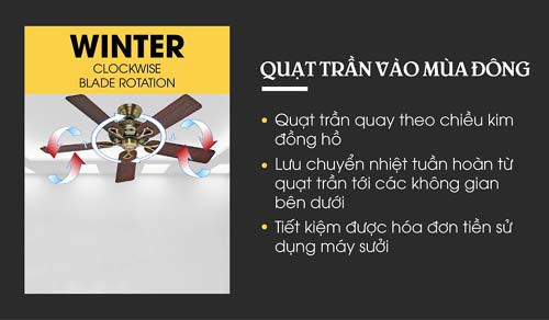 7 l&iacute; do quạt trần kh&ocirc;ng thể bị thay thế - Ảnh 3.