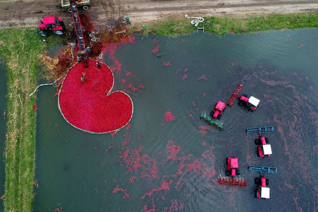 Em kh&ocirc;ng nghe rừng thu, l&aacute; thu k&ecirc;u x&agrave;o xạc... - Ảnh 3.