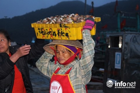 Trắng đ&ecirc;m đội c&aacute;! - Ảnh 1.