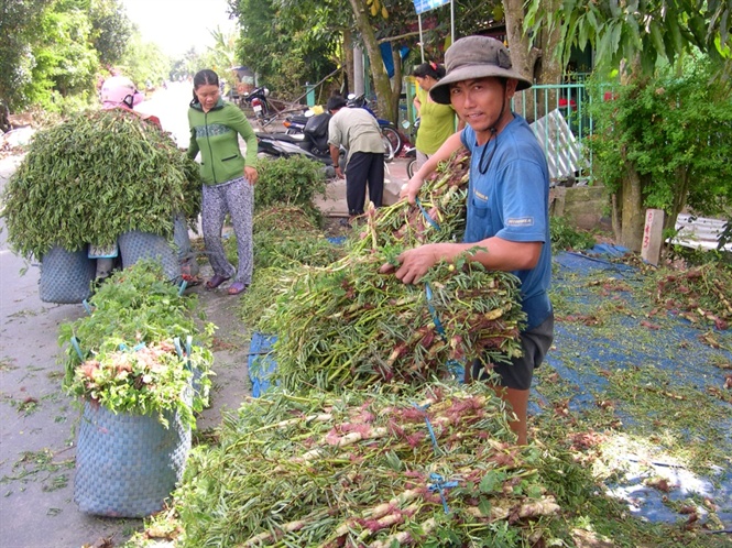 Cận cảnh săn, bắt, h&aacute;i, lượm  m&ugrave;a nước nổi - Ảnh 21.