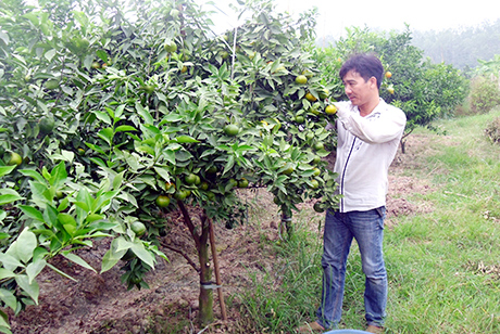 Chuyện thật như đ&ugrave;a về độc chi&ecirc;u l&agrave;m n&ocirc;ng - Ảnh 10.