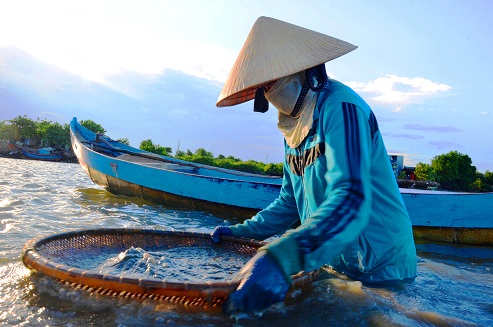Nghề độc &ldquo;vợ chồng c&ugrave;ng ng&acirc;m m&igrave;nh lấy ng&agrave;y nửa triệu - Ảnh 8.